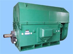 10千伏高壓電機(jī)有何優(yōu)點(diǎn)
