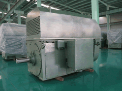 鐵路電機西安泰富西瑪高壓電機有哪些啟動方法？