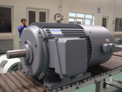 變頻電機(jī)的ZTP電機(jī)應(yīng)用場合。