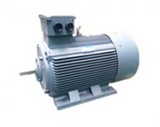 重慶陜西西ZTP電機(jī)瑪電機(jī)修理