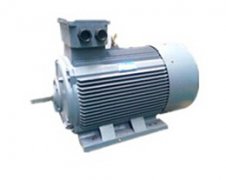 廣州西安西直流電機(jī)瑪直流價(jià)格