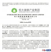 控股e-Traction布局輪轂西電動機(jī)瑪電機(jī) 恒大完善產(chǎn)業(yè)鏈布局