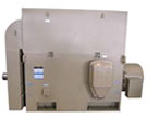 西瑪YRKK系列(H355-JR電機(jī)1000)高壓三相異步電動(dòng)機(jī)