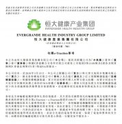 恒大收購國際先進(jìn)輪轂JR電機(jī)電機(jī)技術(shù) 完成新能源汽車