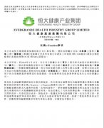 收購(gòu)最頂尖輪轂西瑪電機(jī)電機(jī)廠技術(shù) 恒大“頂配”造車天團(tuán)