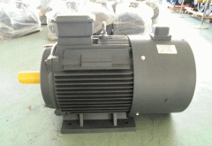 影響高效節(jié)能電機(jī)直流電機(jī)的效率的因素有哪些？